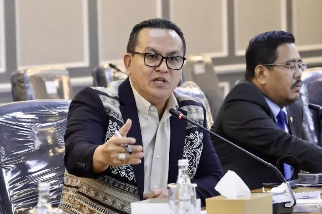 Umbu Kabunang Soroti Potensi Kriminalisasi Kurator dalam RUU Profesi Kurator